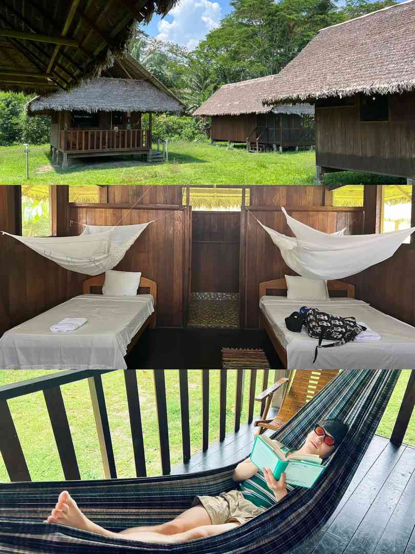 Peru Travel Guide: Exploring the Amazon Rainforest in Depth