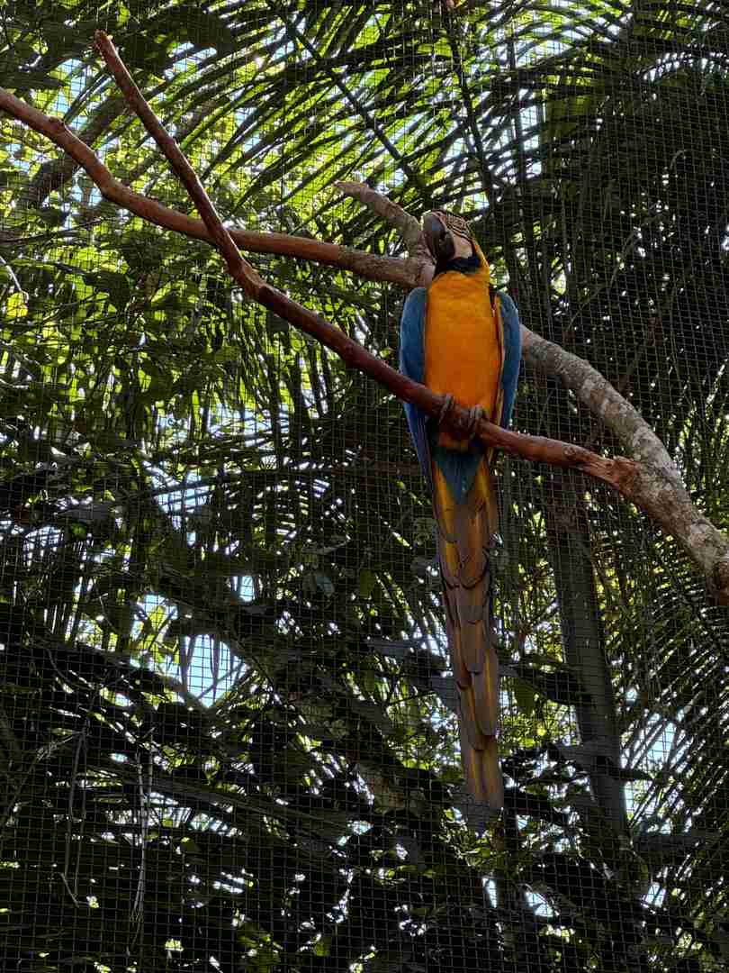 Plan Your Perfect Two-day Trip to Iguazu Falls | Travel Guide