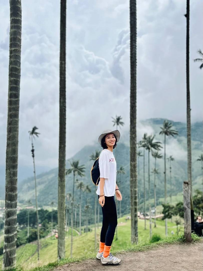 Relaxing Hike to the World's Tallest Palm Tree | Scenic Nature Route