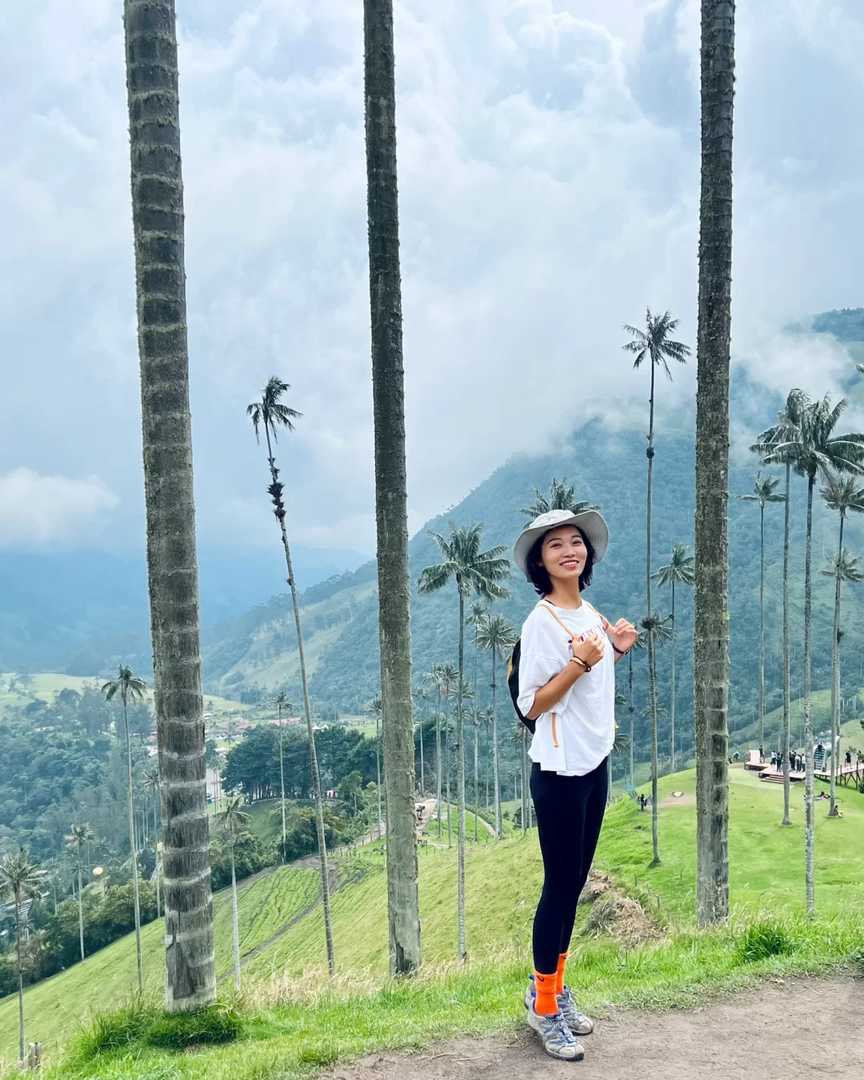 Relaxing Hike to the World's Tallest Palm Tree | Scenic Nature Route