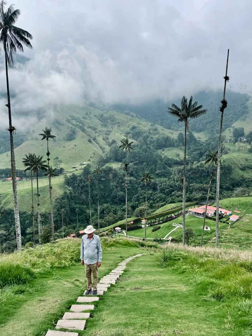 Relaxing Hike to the World's Tallest Palm Tree | Scenic Nature Route