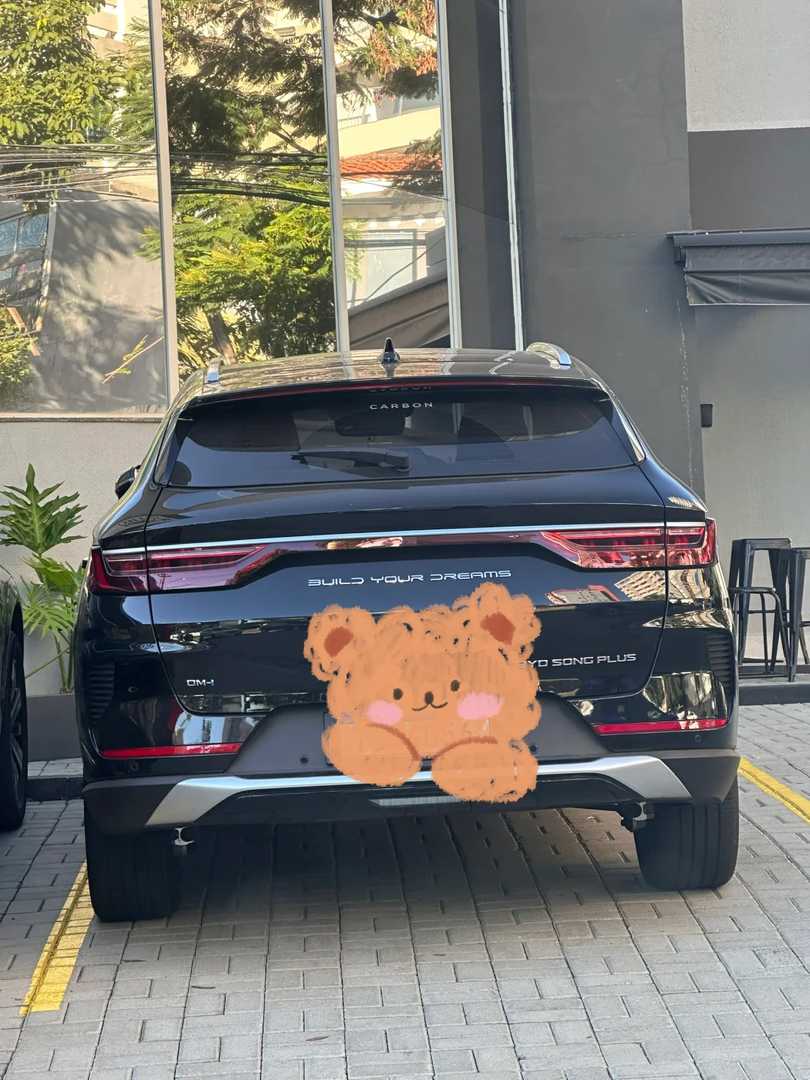 Serviços de Retorno Seguro ao Lar em São Paulo, Brasil, para Tranquilidade
