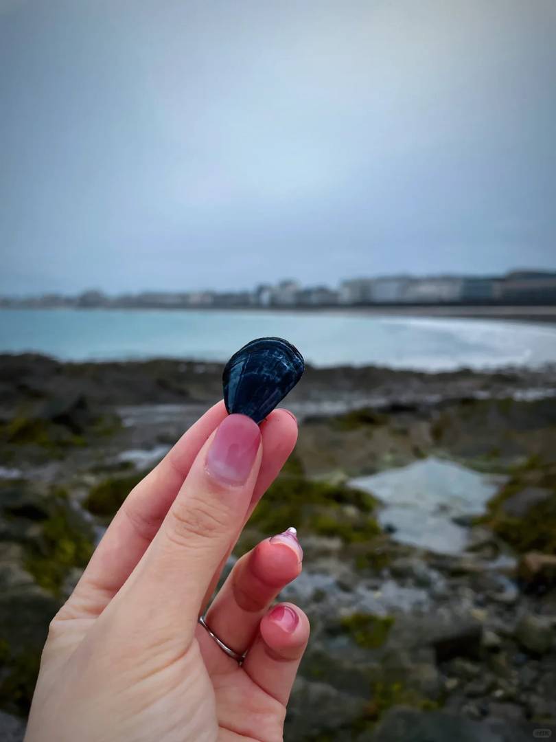 Saint-Malo One Day Tour Guide: Explore Historic Sites & Beaches