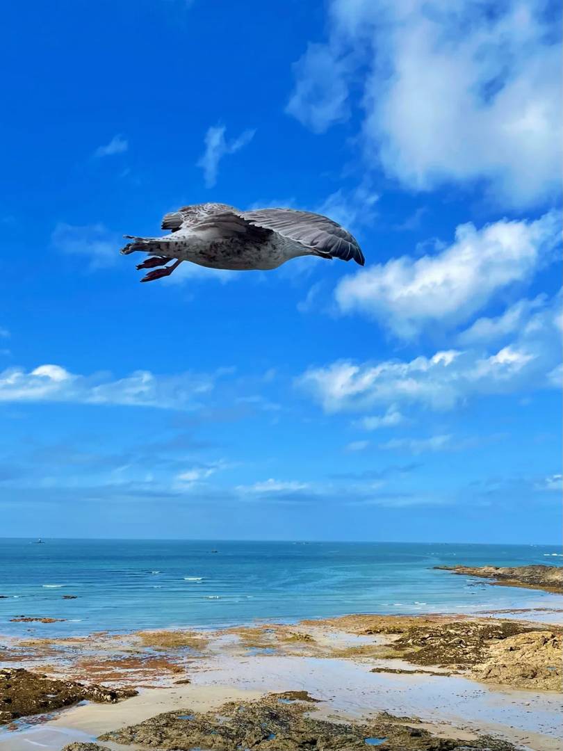 Saint-Malo One Day Tour Guide: Explore Historic Sites & Beaches