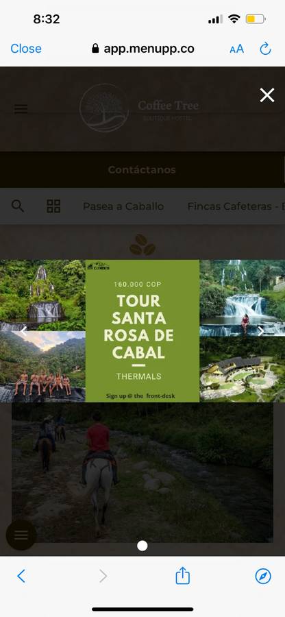 Salento Cocora Valley Tour: Latest Prices & Best Day Trips 2023