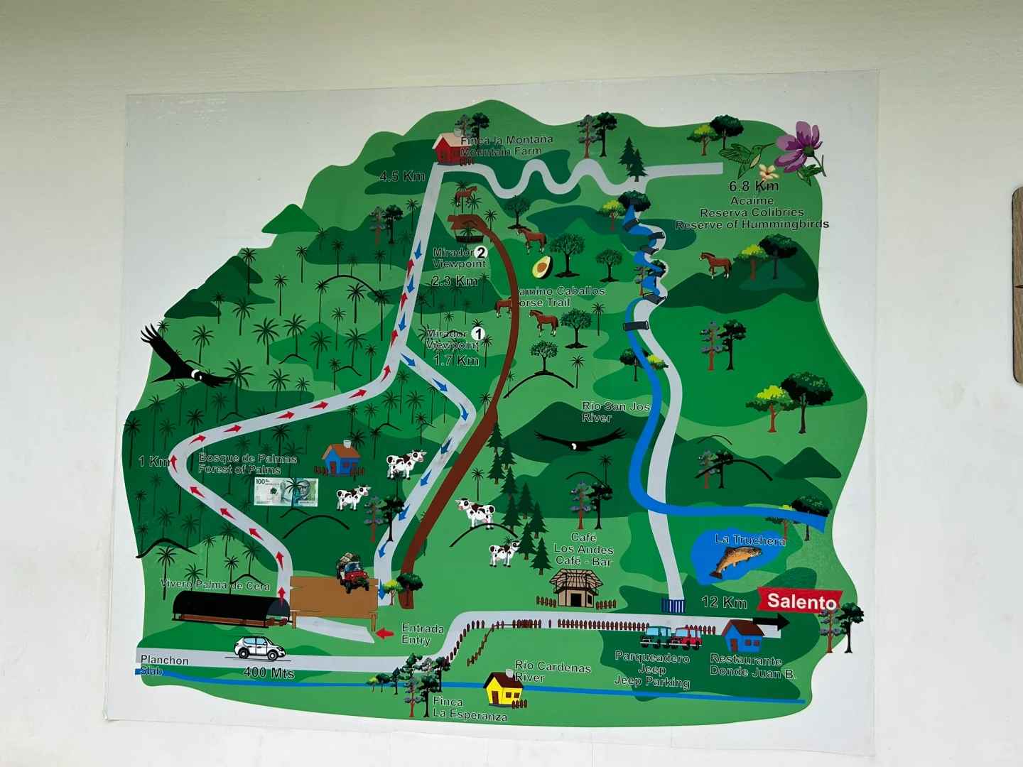Salento Cocora Valley Tour: Latest Prices & Best Day Trips 2023