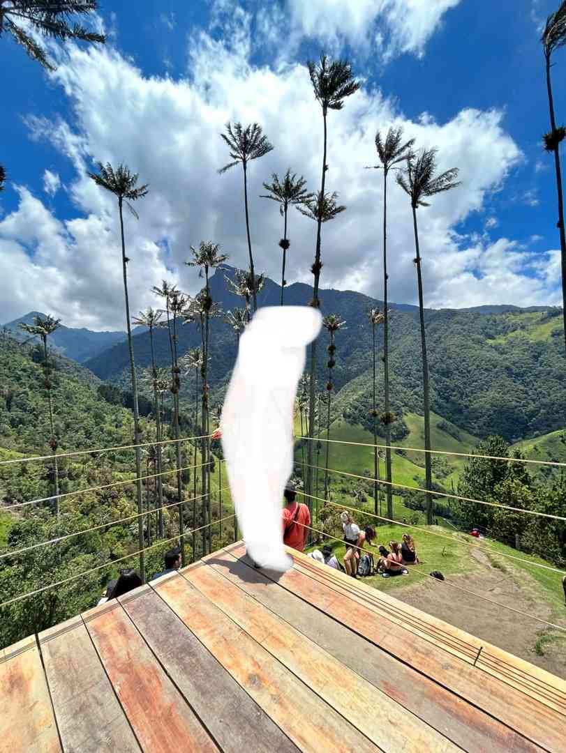 Salento Cocora Valley Tour: Latest Prices & Best Day Trips 2023