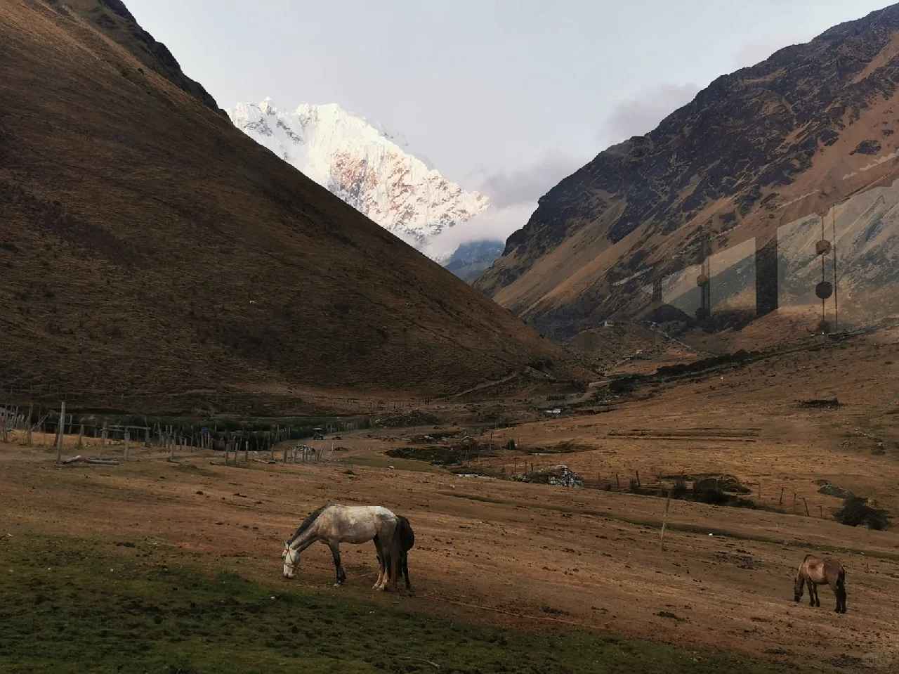 Salkantay Trek 5 Days: Best Peru Adventure Tour from Cusco