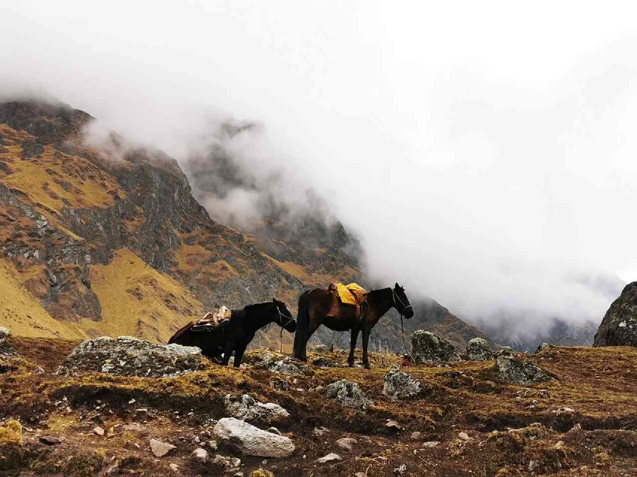 Salkantay Trek 5 Days: Best Peru Adventure Tour from Cusco
