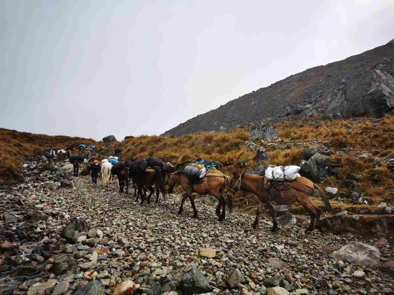Salkantay Trek 5 Days: Best Peru Adventure Tour to Machu Picchu