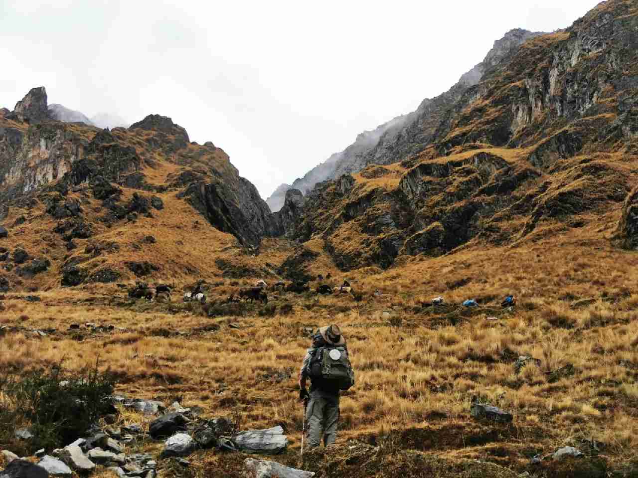 Salkantay Trek 5 Days: Best Peru Adventure Tour to Machu Picchu