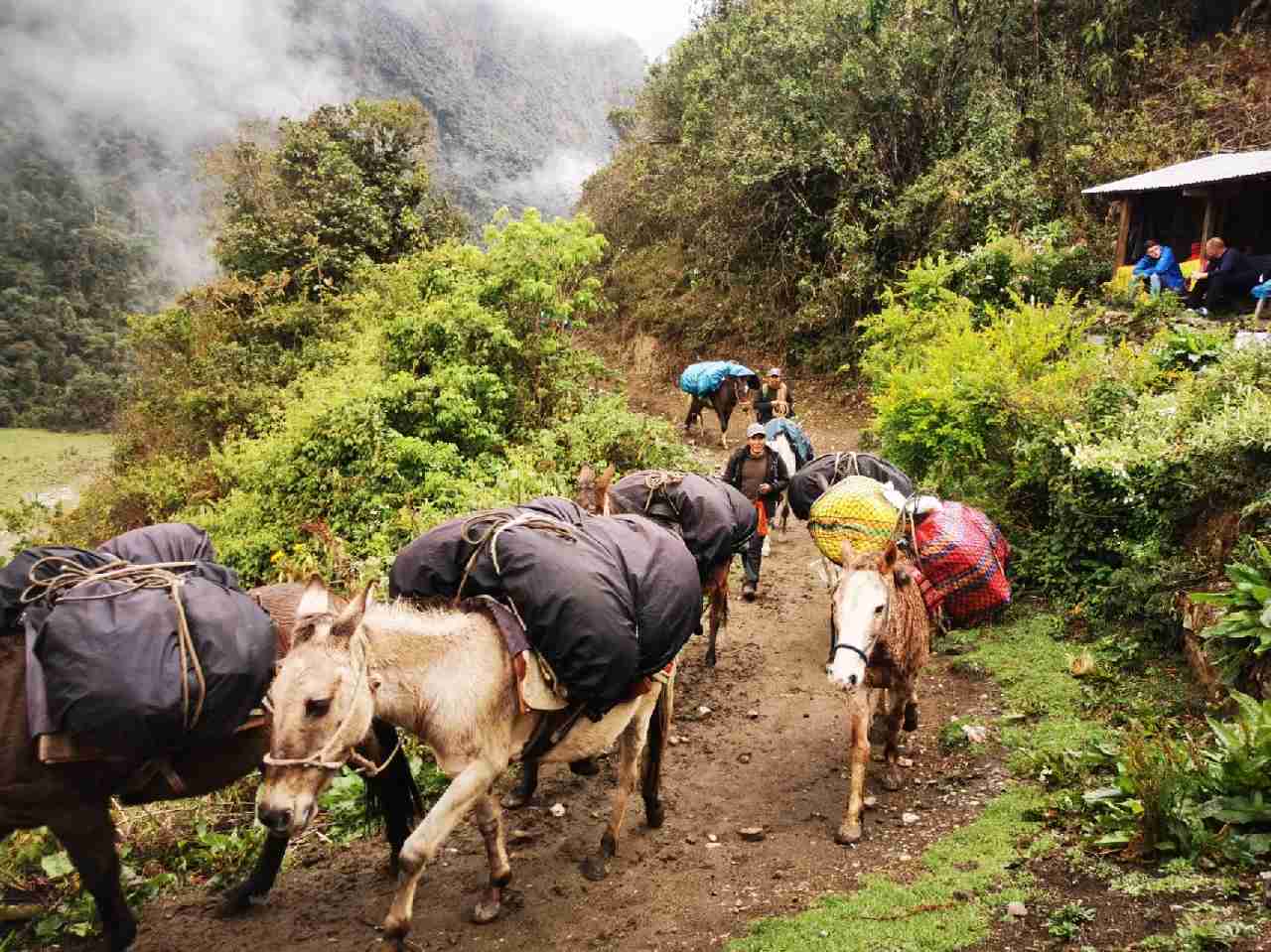 Salkantay Trek 5 Days: Best Peru Adventure Tour to Machu Picchu