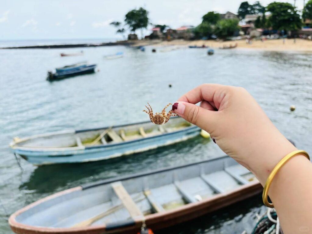 São Tomé Tourism Guide: Best Hidden Gems to Explore in 2023