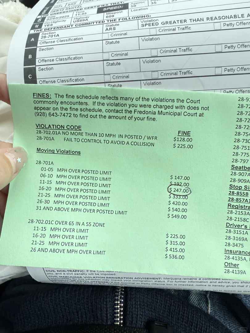予算内でアメリカ西部での自動運転旅行体験
