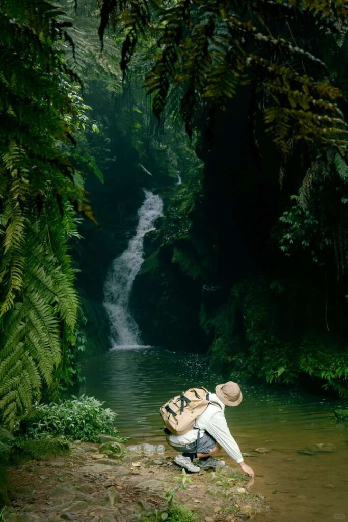 Sichuan’s Amazon Rainforest: Exploring the Unique Jungle Ecosystem in China