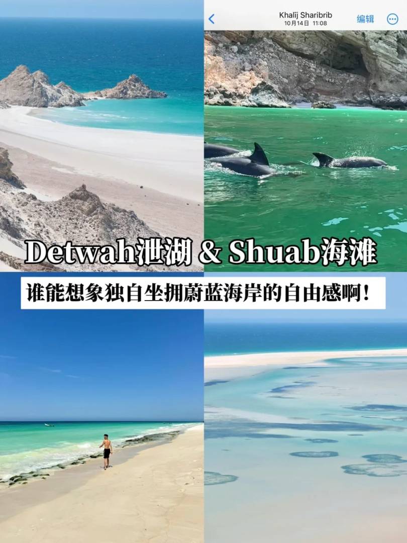 Socotra Island Travel Guide: Explore Unique Natural Wonders in One Article