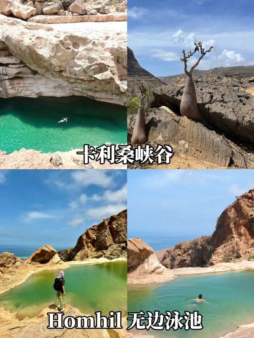 Socotra Island Travel Guide: Explore Unique Natural Wonders in One Article