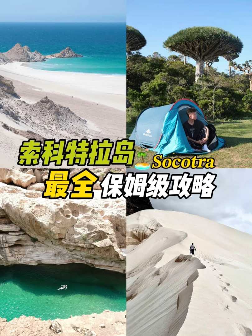 Socotra Island Travel Guide: Explore Unique Natural Wonders in One Article