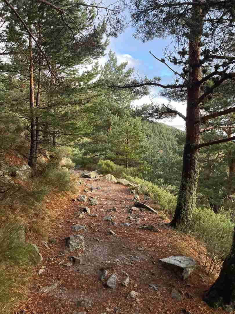 Solo Hiking Adventures: Exploring Nature One Step at a Time ⛰️