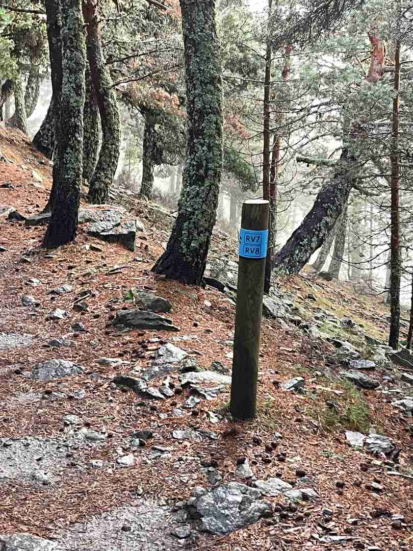 Solo Hiking Adventures: Exploring Nature One Step at a Time ⛰️