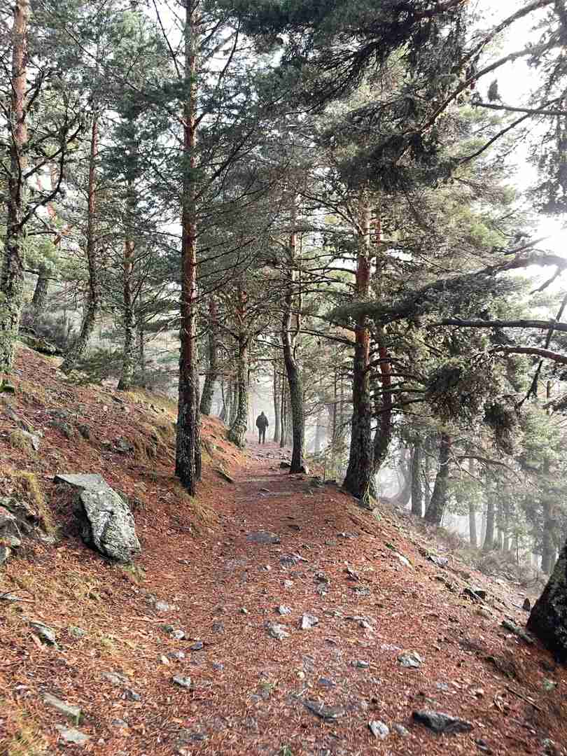 Solo Hiking Adventures: Exploring Nature One Step at a Time ⛰️