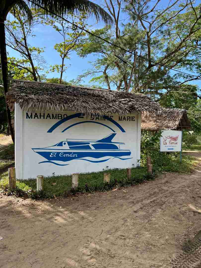 St. Mary's Island Whale Watching Tour: Self-Drive Travel with Transport, Accommodation & Meals Included