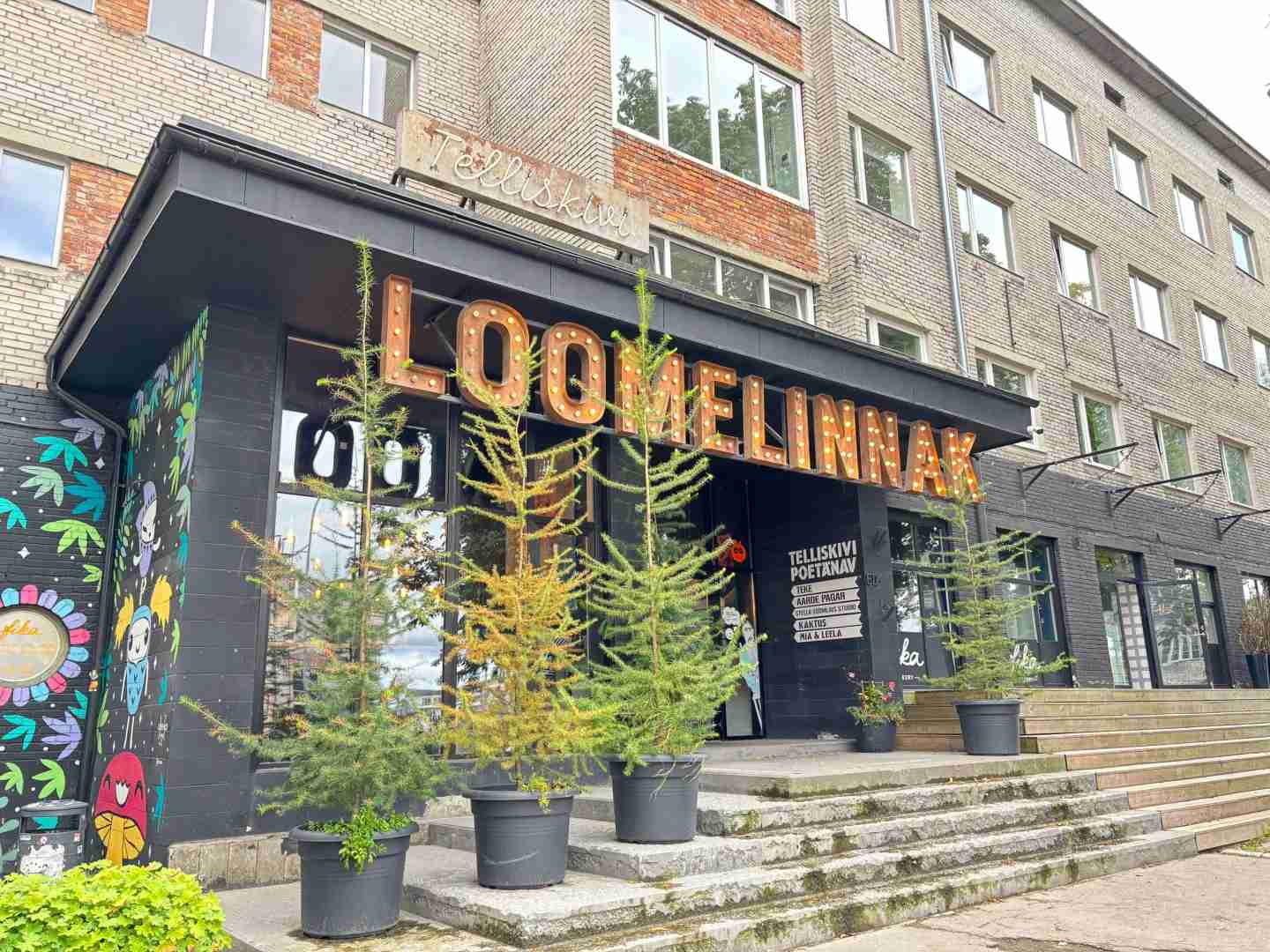 Tallinn, Estonia Travel Guide: Day 1 Exploration in the Capital