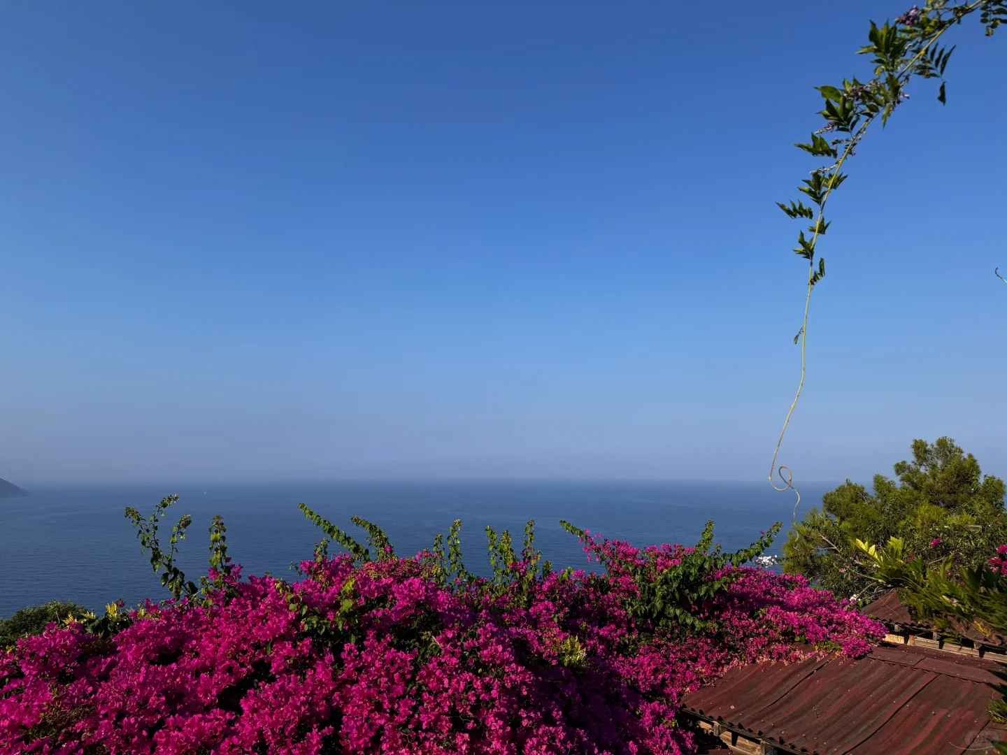Turkey Free Travel Guide: Best Accommodation Tips for Travelers