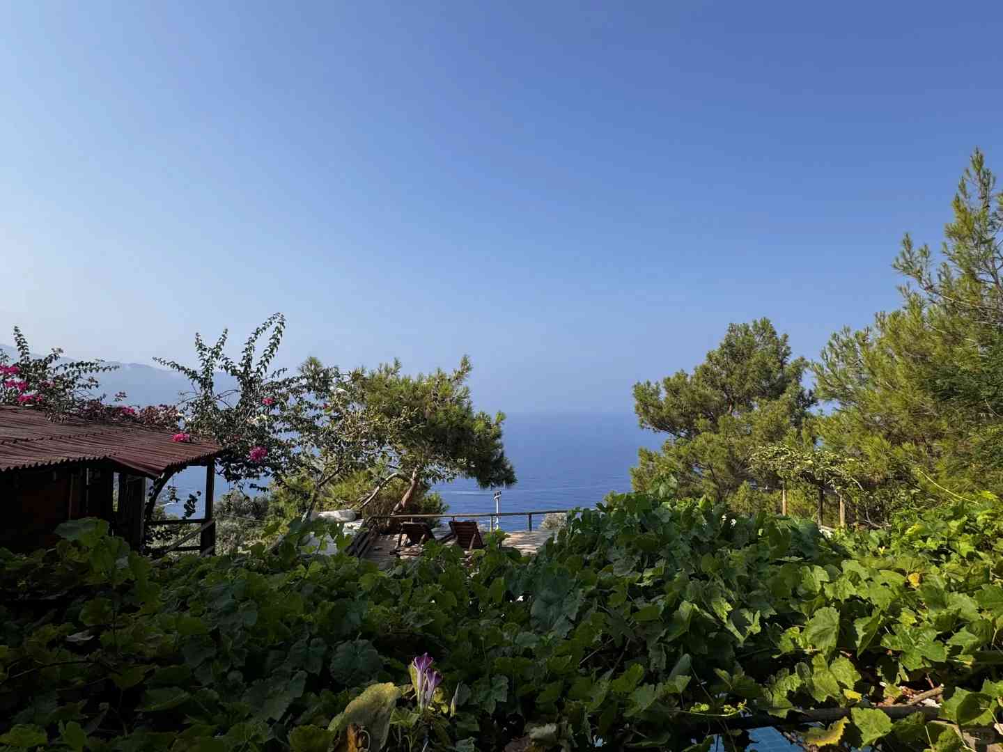 Turkey Free Travel Guide: Best Accommodation Tips for Travelers