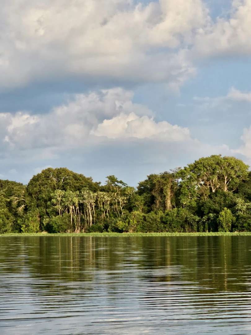 Two-Day Amazon Rainforest Expedition Near Leticia Starting at $340mil/Person