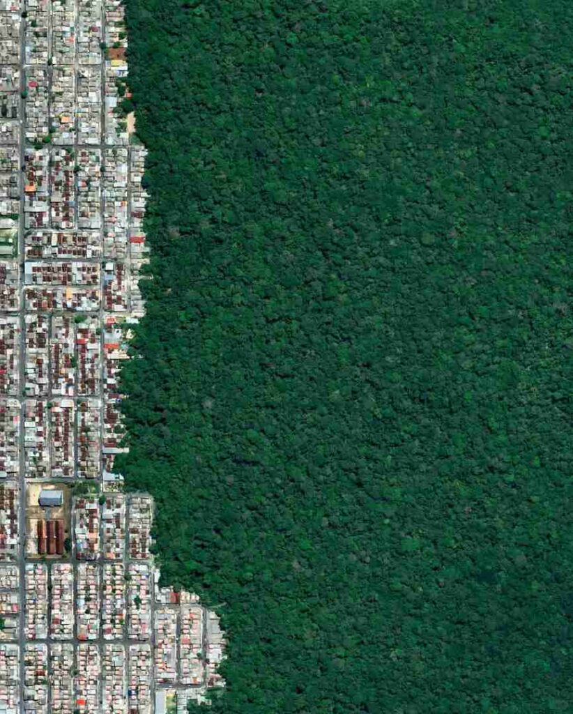 Urban expansion impacts on nature: How cities grow sustainably