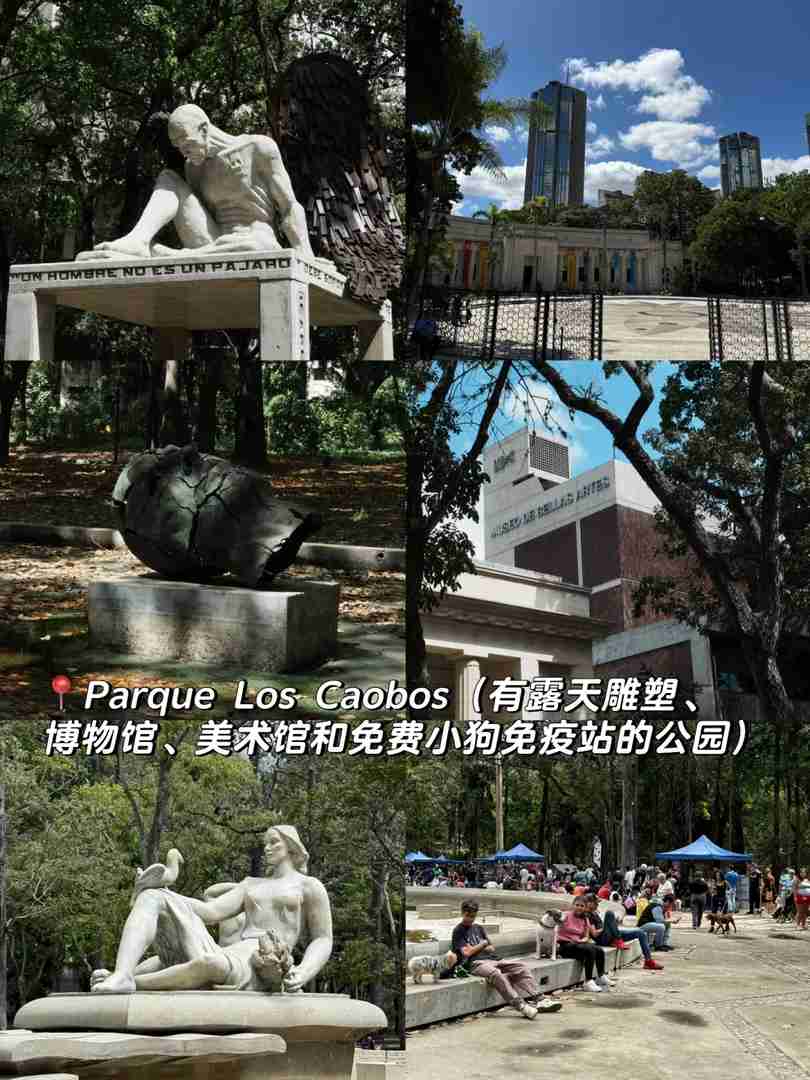 ベネズエラ5-7日間ツアー:カラカスとカナイマ滝探検