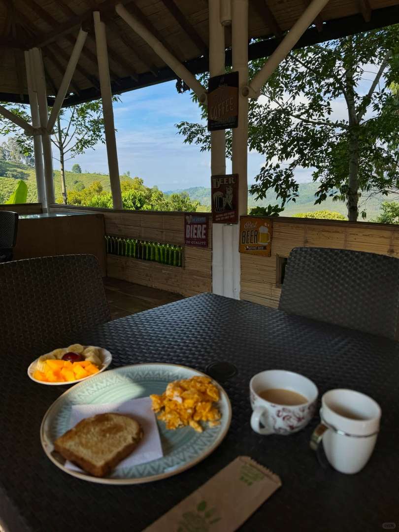 What Does a Live Photo Capture? Stunning Moments in Cocora Valley 📸