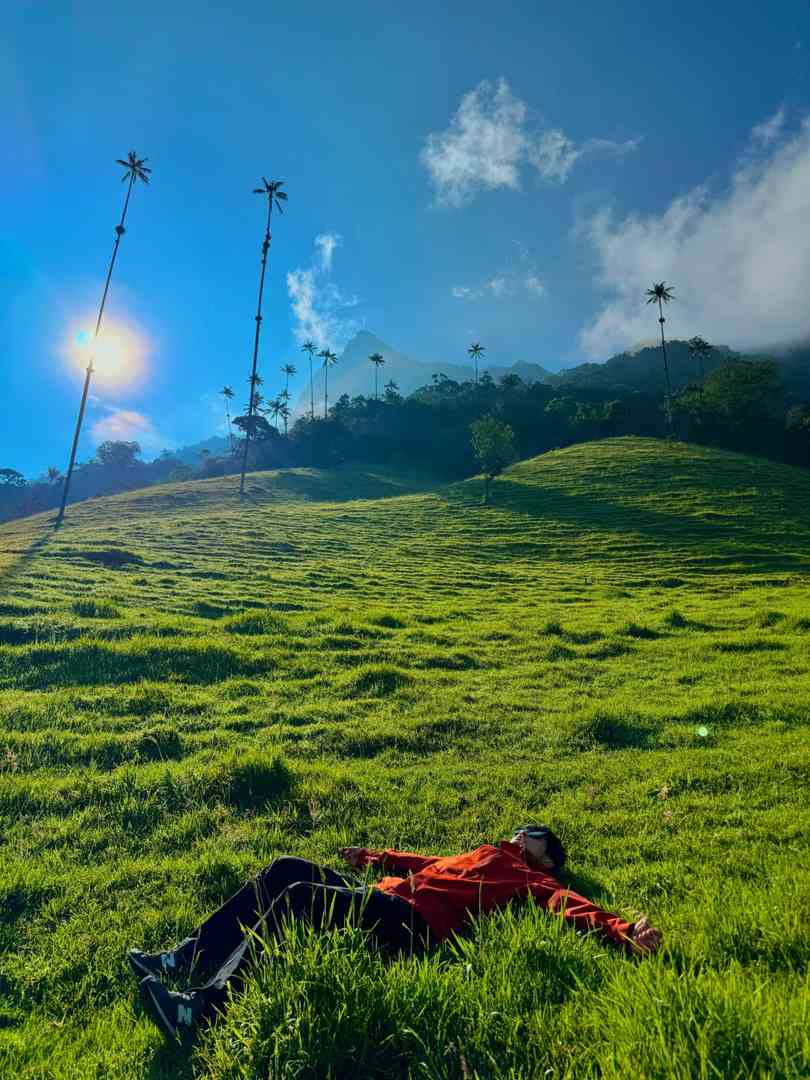 What Does a Live Photo Capture? Stunning Moments in Cocora Valley 📸