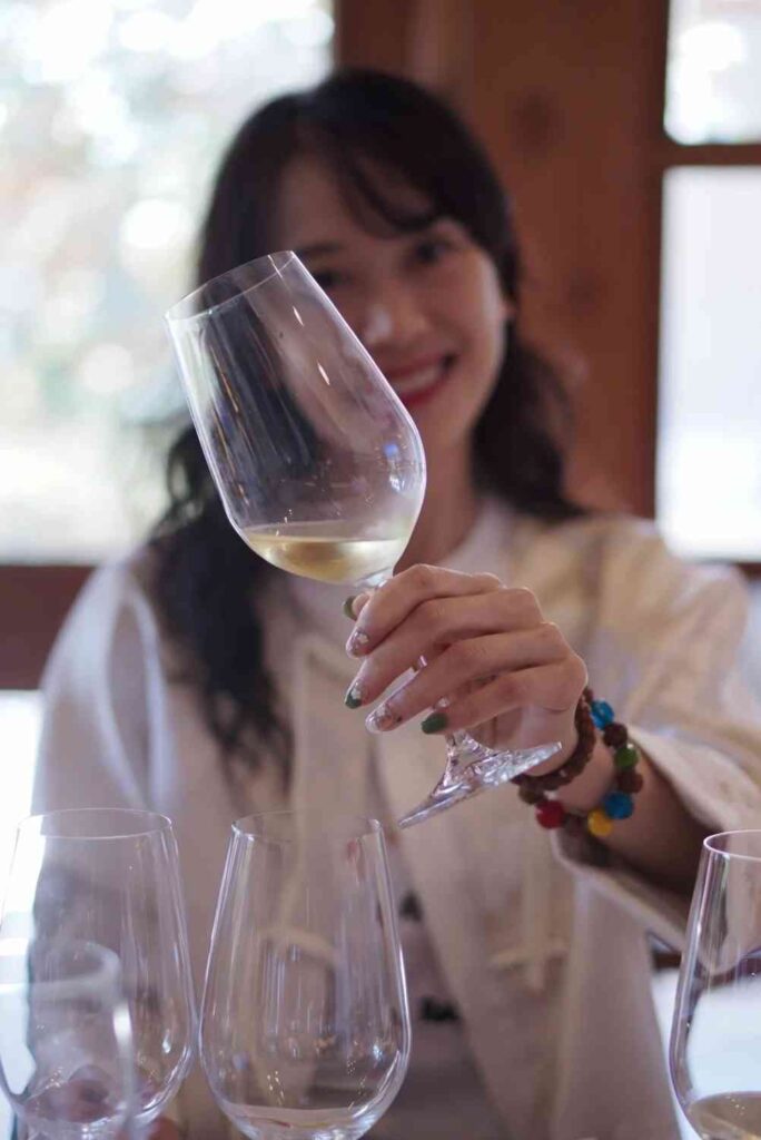 What are the best self-guided tour routes and budget tips for a day in Santiago, Chile?