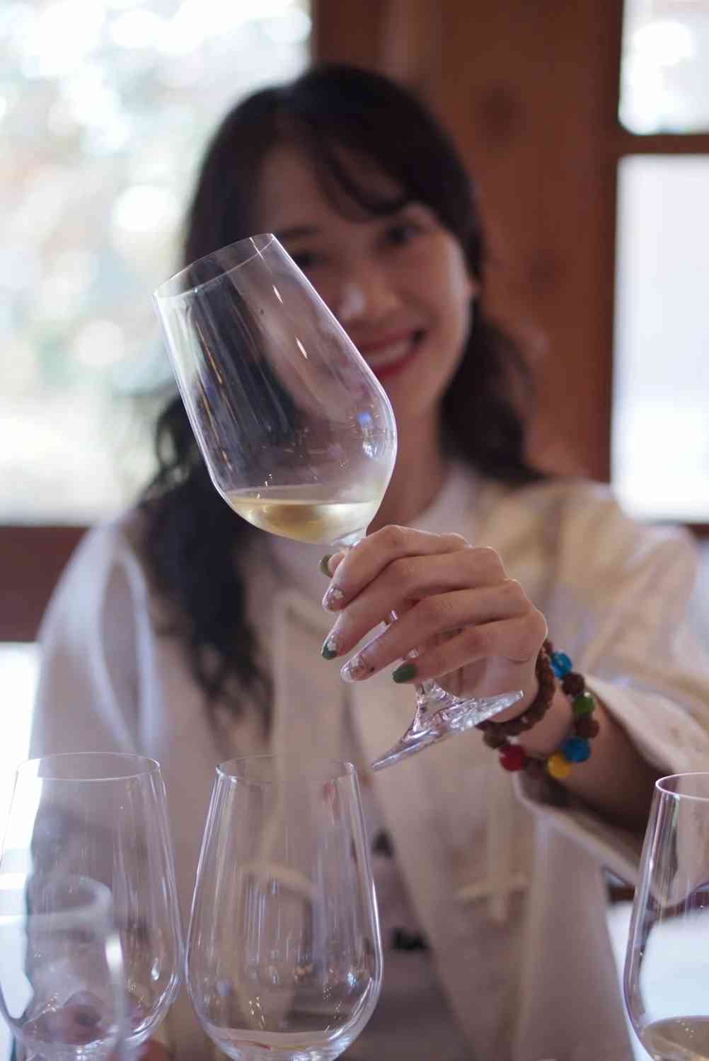 What are the best self-guided tour routes and budget tips for a day in Santiago, Chile?