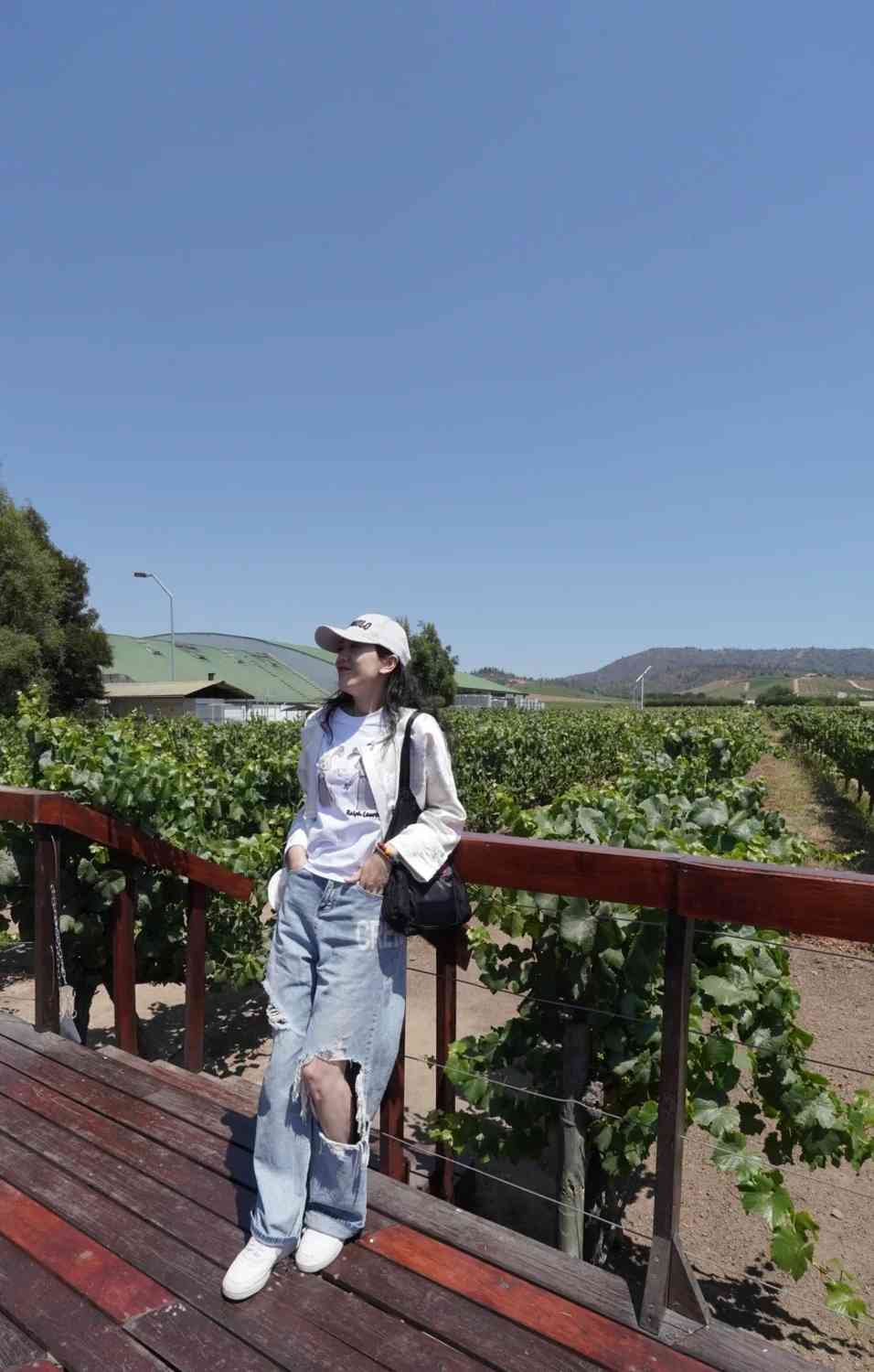 What are the best self-guided tour routes and budget tips for a day in Santiago, Chile?