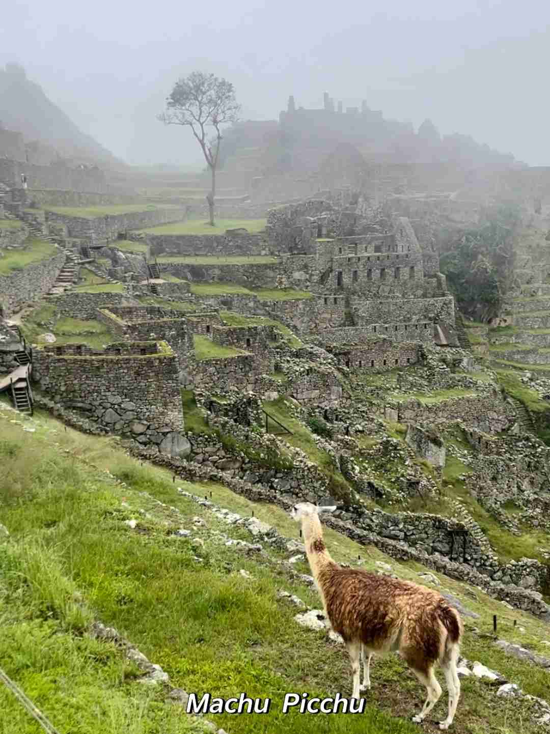 What's the Best 9-day Self-guided Tour Route from Peru to Chile?