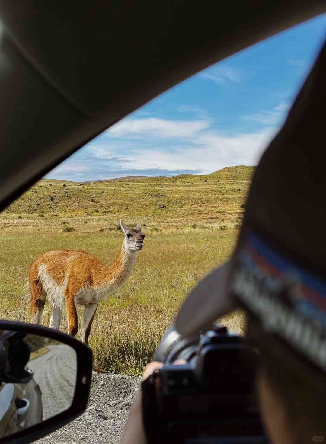 What's the Best Budget-Friendly Self-Guided Tour Route for Torres del Paine?