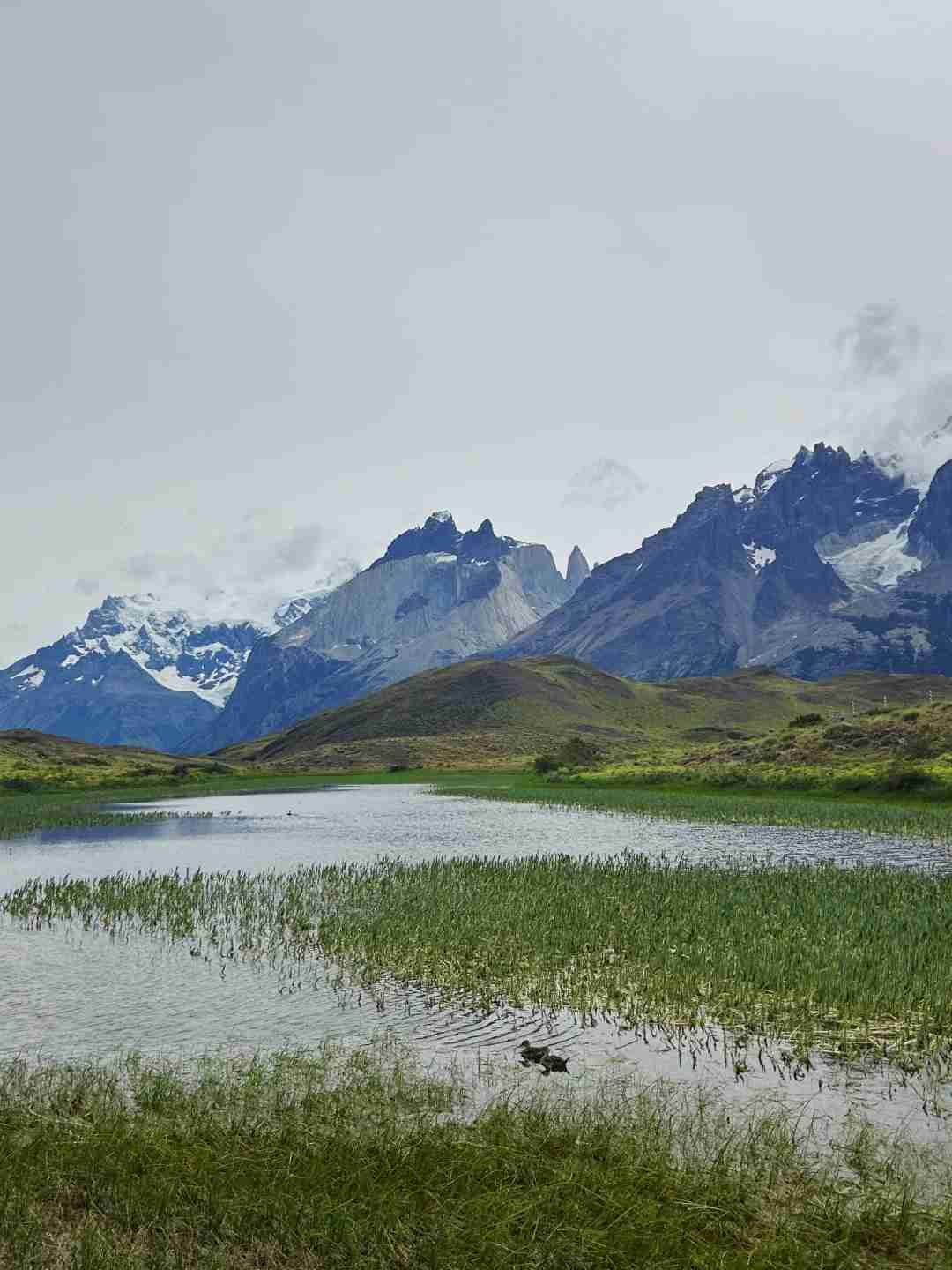 What's the Best Budget-Friendly Self-Guided Tour Route for Torres del Paine?