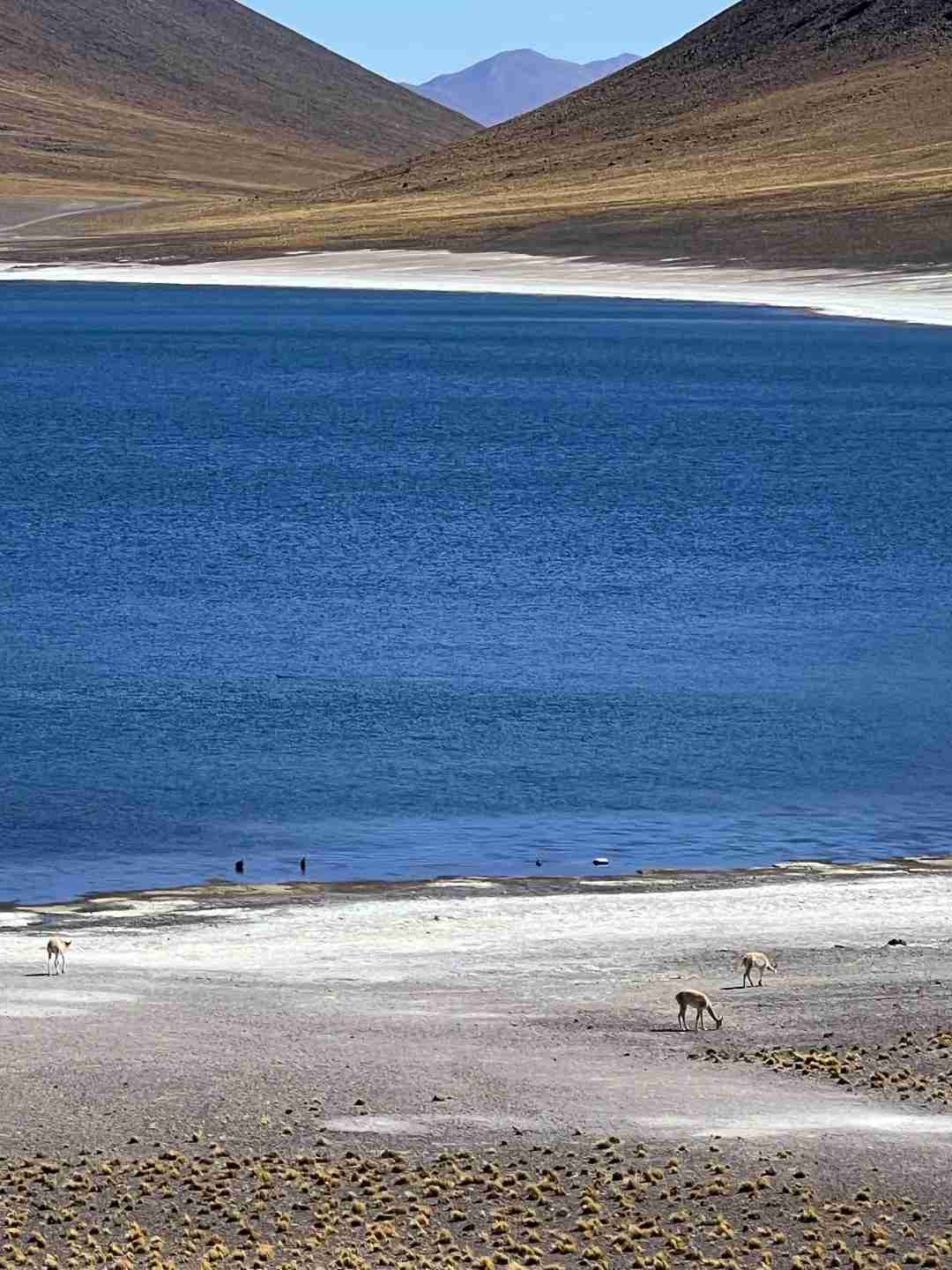 What's the Best Budget Route for a Self-guided Tour of Atacama Desert?