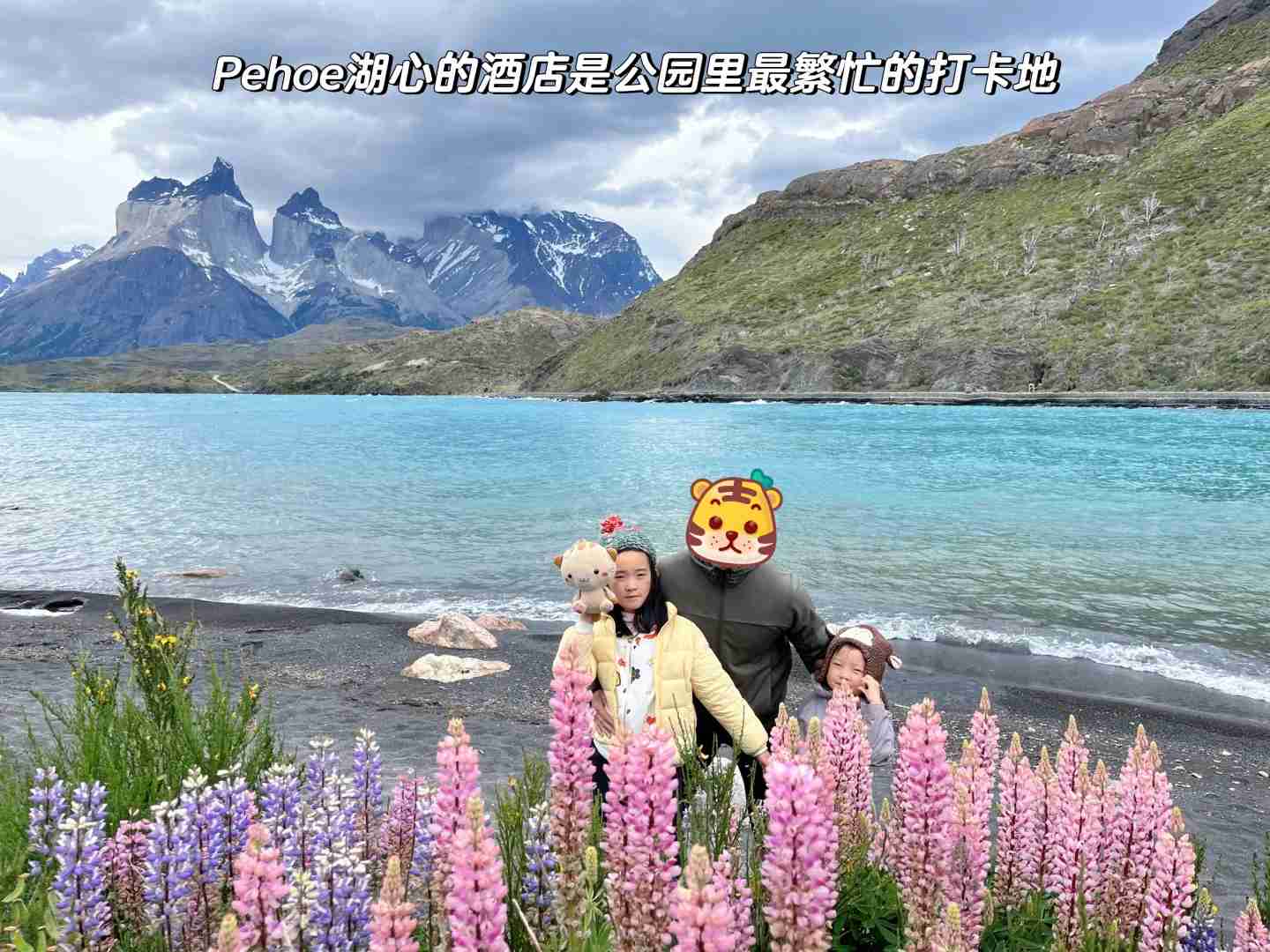 What's the Best Budget Self-Guided Tour Route for a Family Trip in Chile Patagonia?
