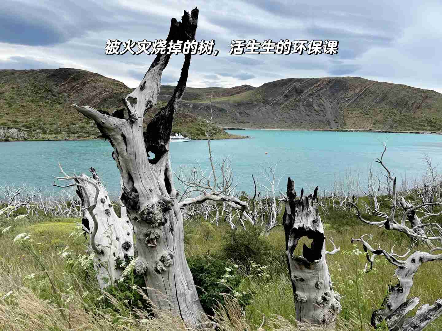 What's the Best Budget Self-Guided Tour Route for a Family Trip in Chile Patagonia?