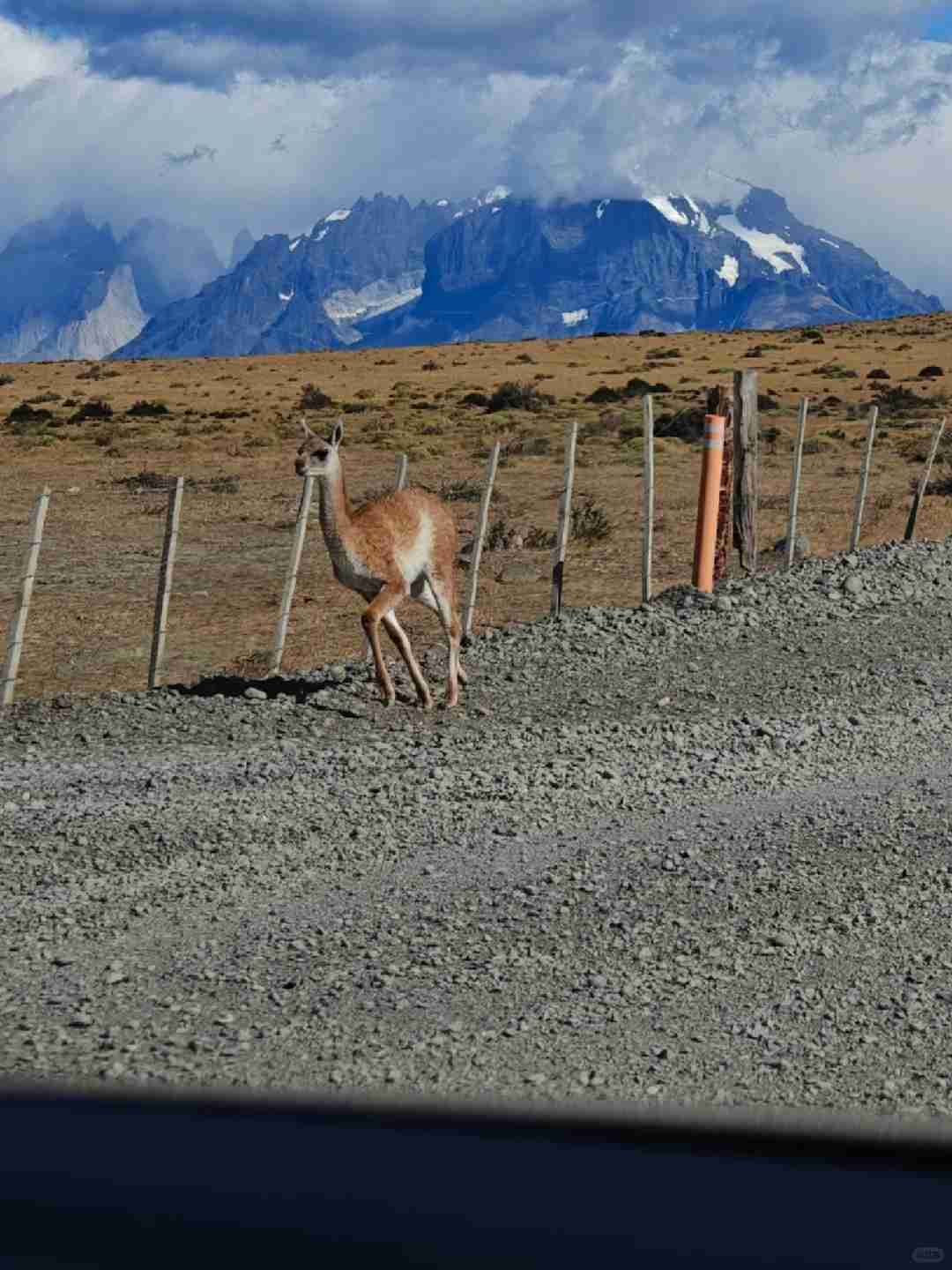 What's the Best Self-Guided Tour Route & Budget for a Lazy Torres del Paine Drive?