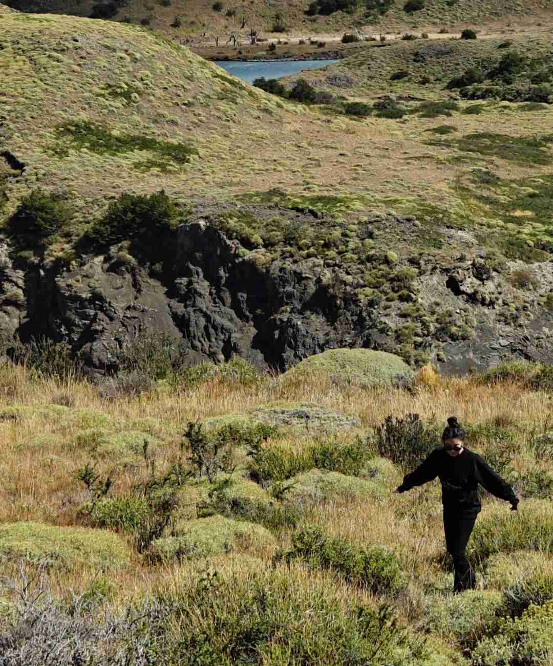 What's the Best Self-Guided Tour Route & Budget for a Lazy Torres del Paine Drive?
