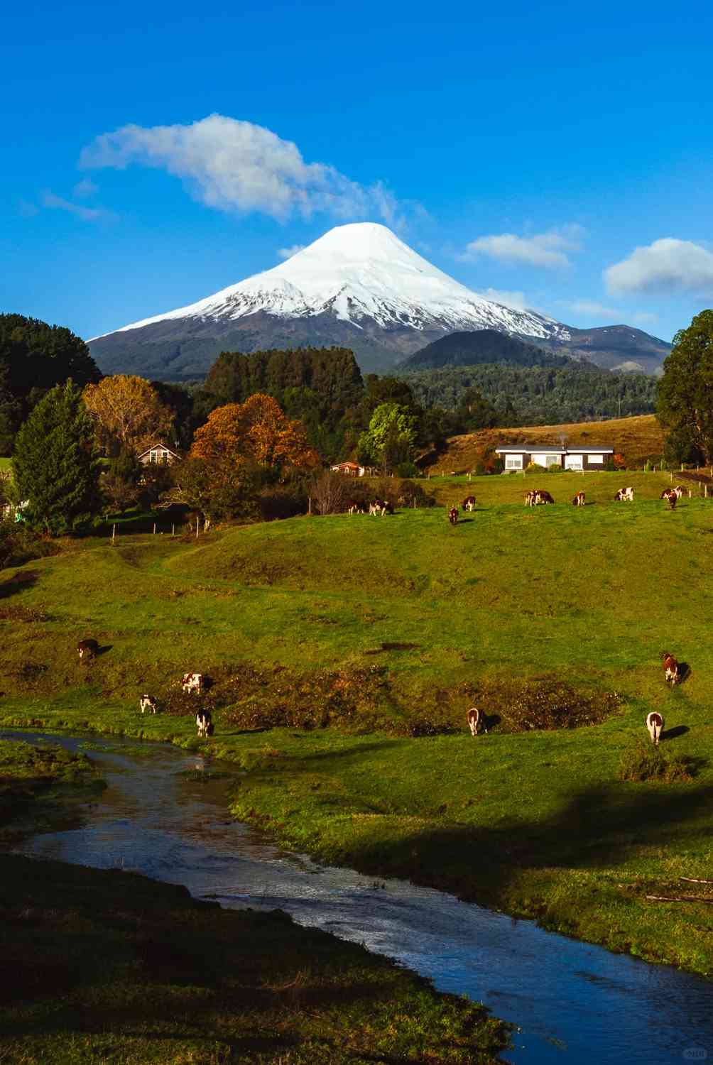 Qual é o Melhor Roteiro de Auto-Guiado para o Vulcão Osorno com um Orçamento Limitado?