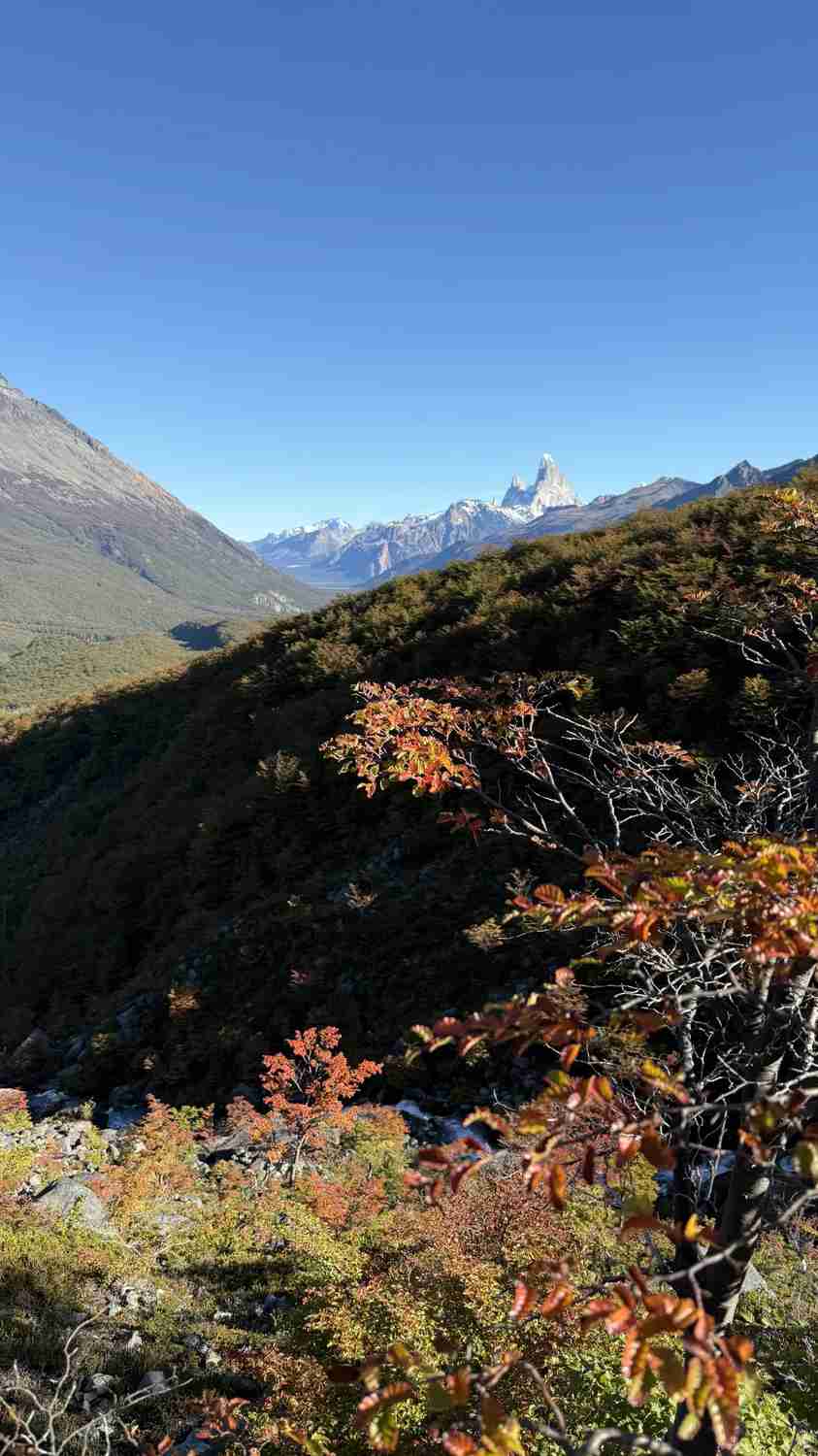 What's the Best Self-Guided Tour Route for Budget Travel in Patagonia?