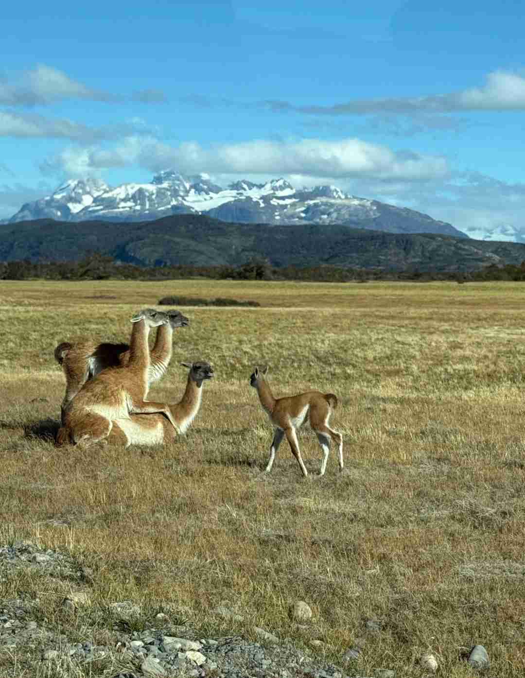 What's the Best Self-Guided Tour Route for Budget Travel in Patagonia?