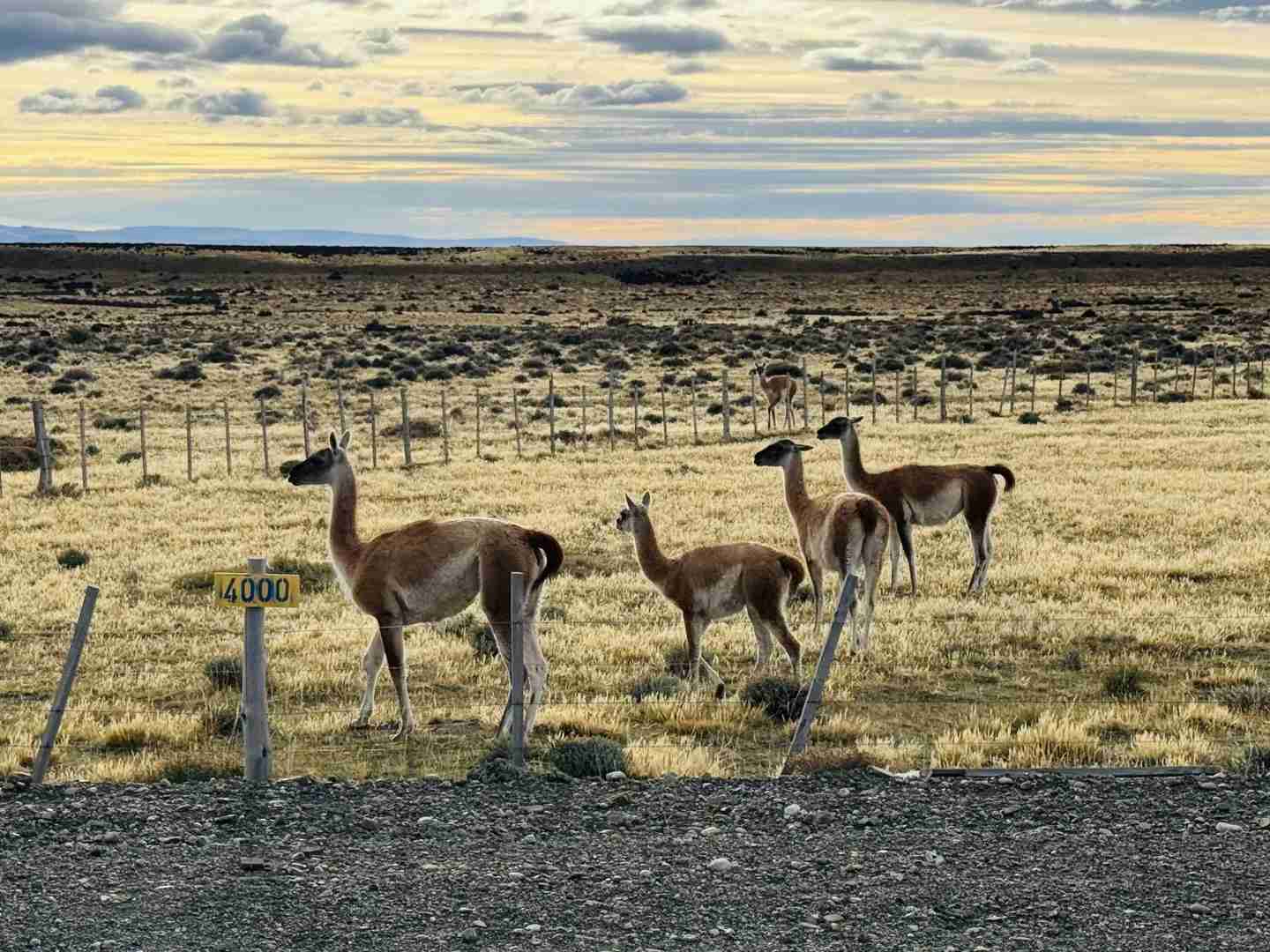 What's the Best Self-Guided Tour Route for Torres del Paine on a Budget?