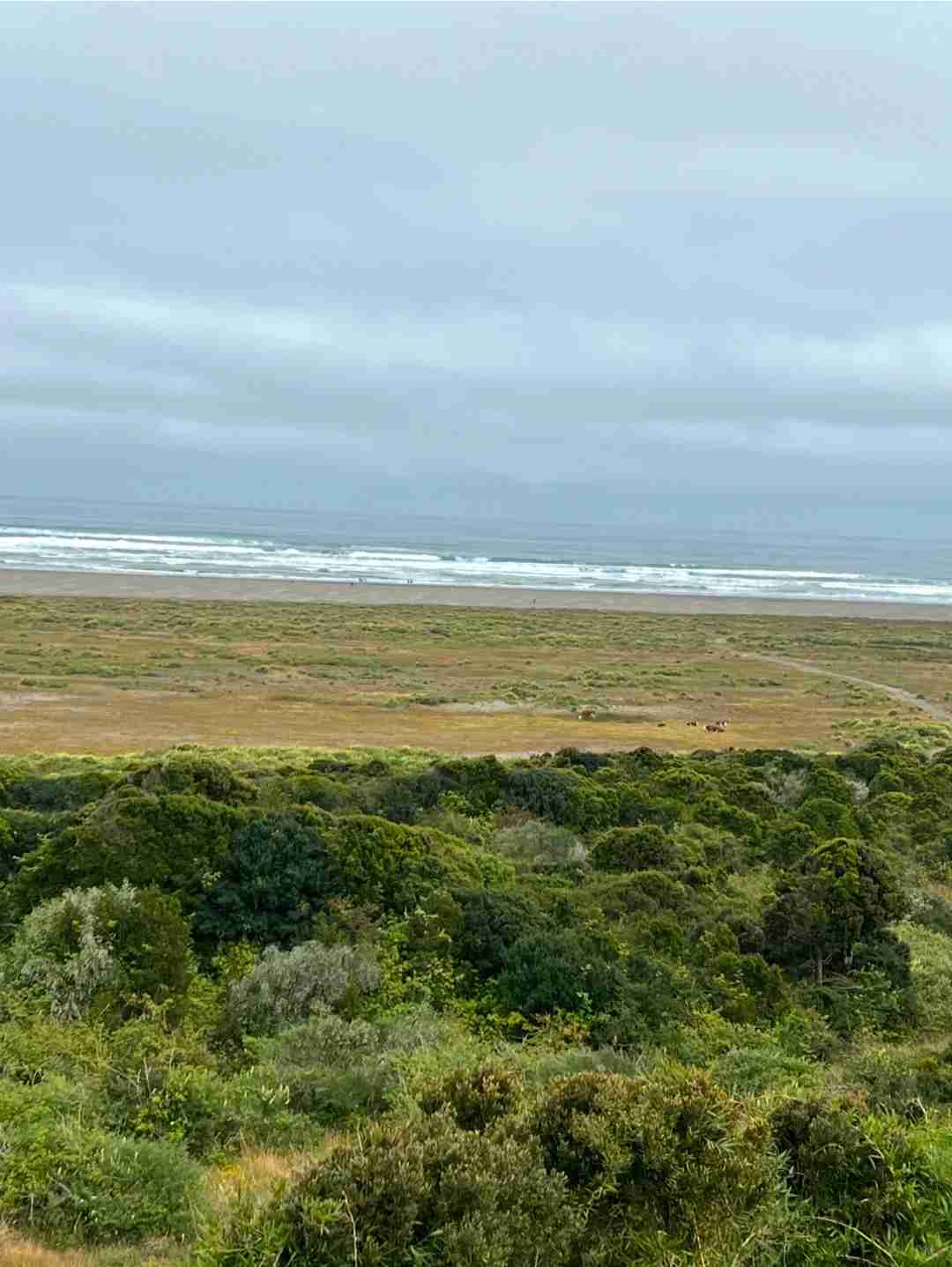 What's the Best Self-Guided Tour Route for Budget Travel in Chiloé Island?